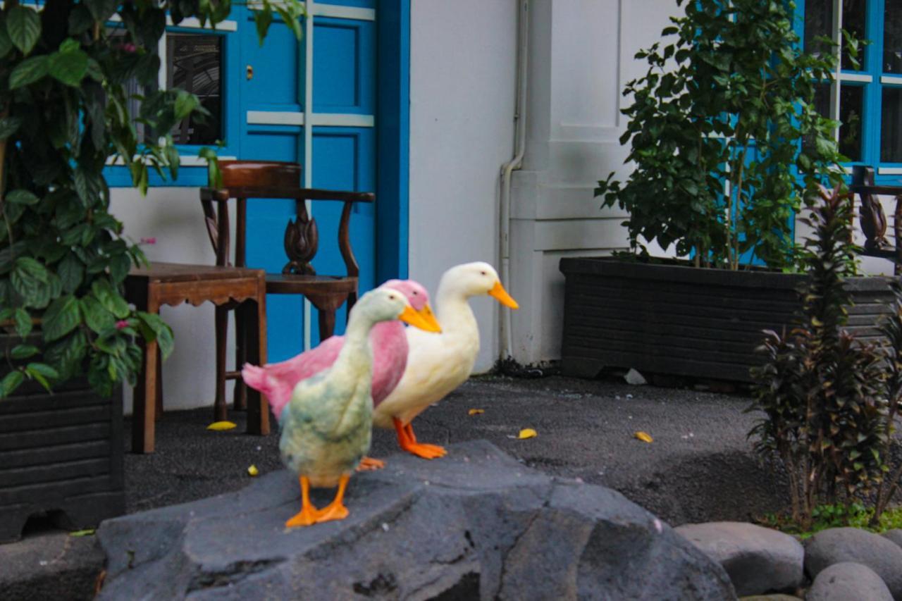 Hotel Merdeka Kediri Кедірі Екстер'єр фото